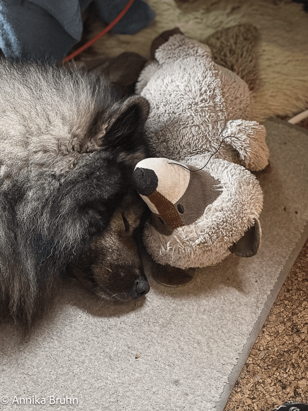 Kuschelzeit Q und Waschie